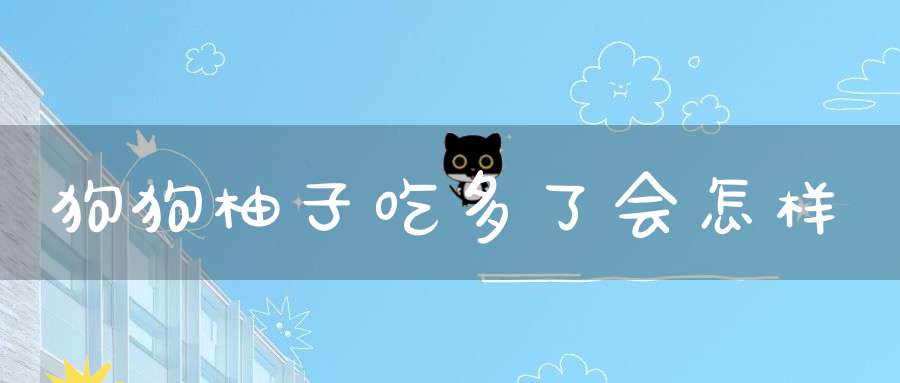 狗狗柚子吃多了会怎样(金毛能不能吃柚子)