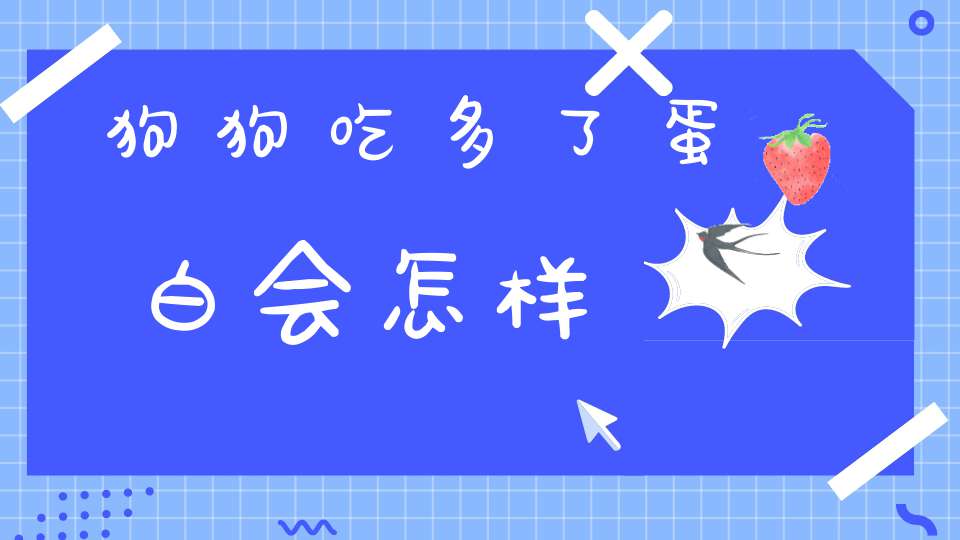 狗狗吃多了蛋白会怎样