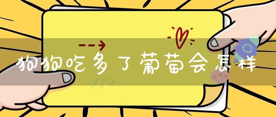 狗狗吃多了葡萄会怎样(狗狗偷吃了很多葡萄怎么办?会不会死呀?)