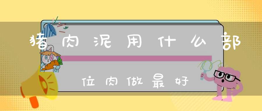 猪肉泥用什么部位肉做最好(肉应该怎么做成肉泥)