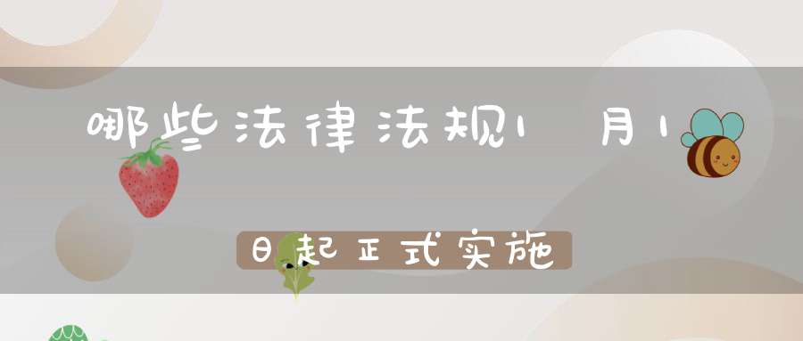 哪些法律法规1月1日起正式实施